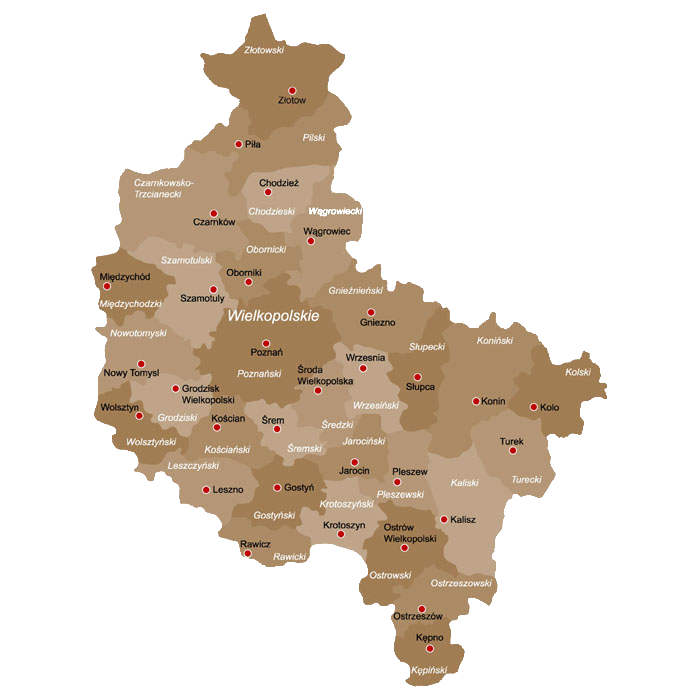 Piro-Geo Usługi Geodezyjne – firma geodezyjna Kostrzyn, Poznań, Wielkopolskie